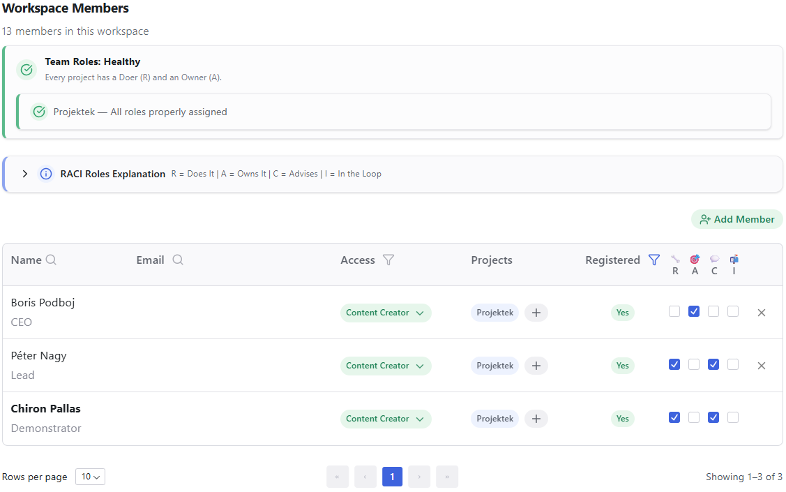 Workspace Members with RACI role assignments per project